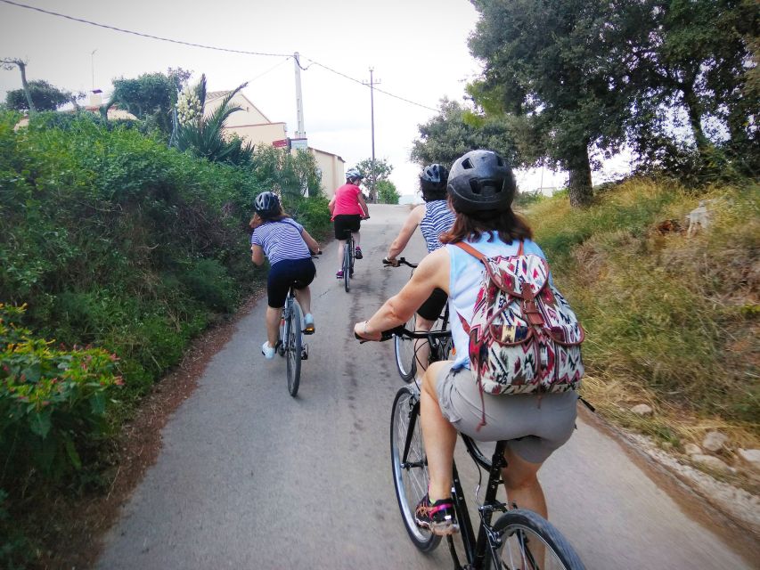 From Sitges: Cycling Tour With Winery Visit and Tasting - Customer Feedback