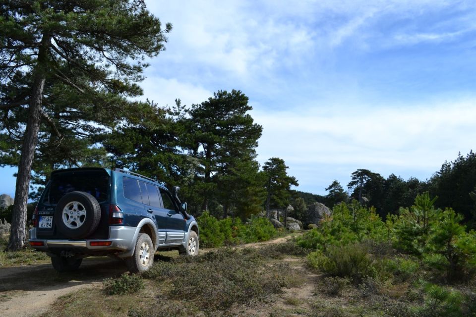 From Sithonia: Private 4x4 Off-Road Safari in Halkidiki - Customer Reviews and Feedback