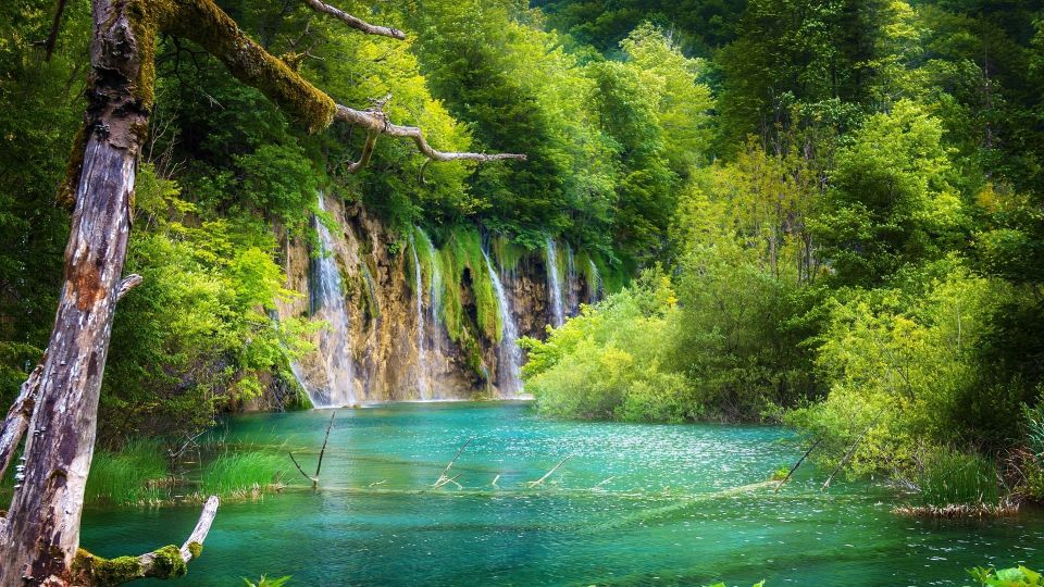 From Split: Private Plitvice Lakes and Zadar Tour With Lunch - Booking and Inclusions