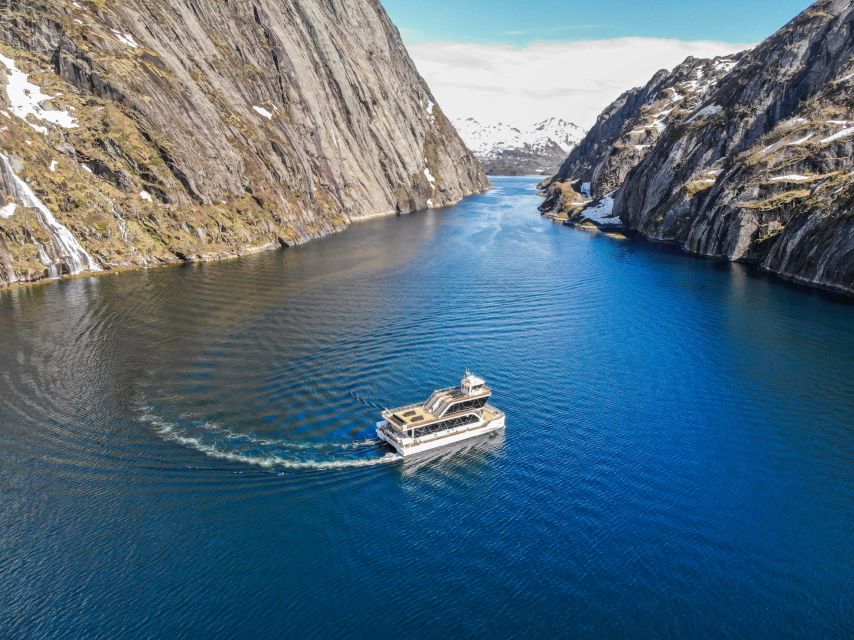 From Svolvær: Lofoten Islands Silent Trollfjord Cruise - Inclusions and Exclusions