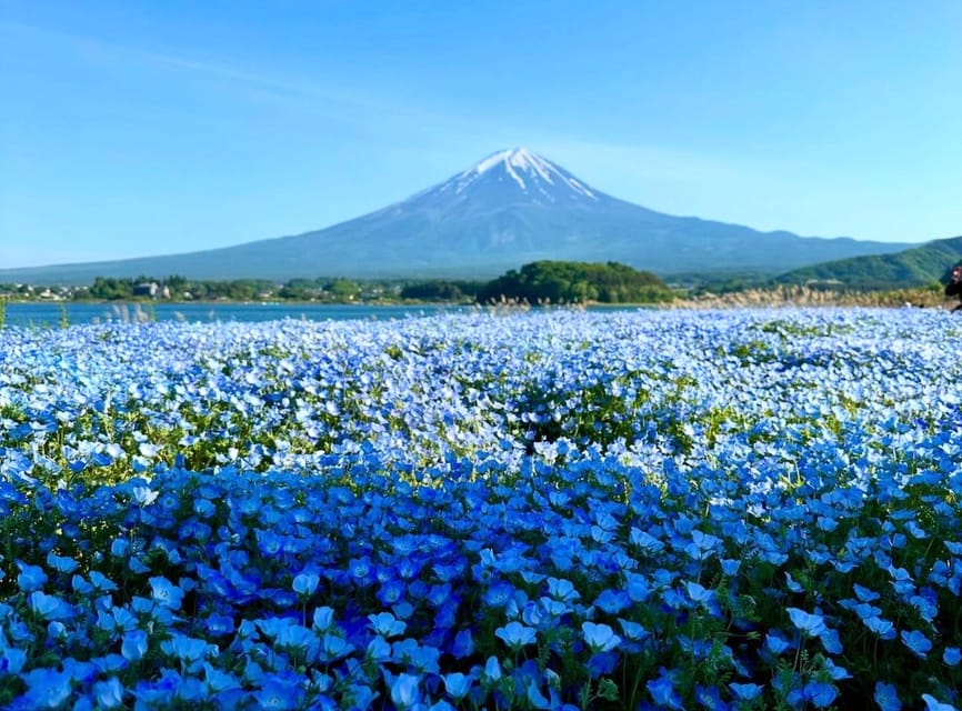 From Tokyo: Mount Fuji Day Tour With English Speaking Driver - Tour Inclusions and Exclusions