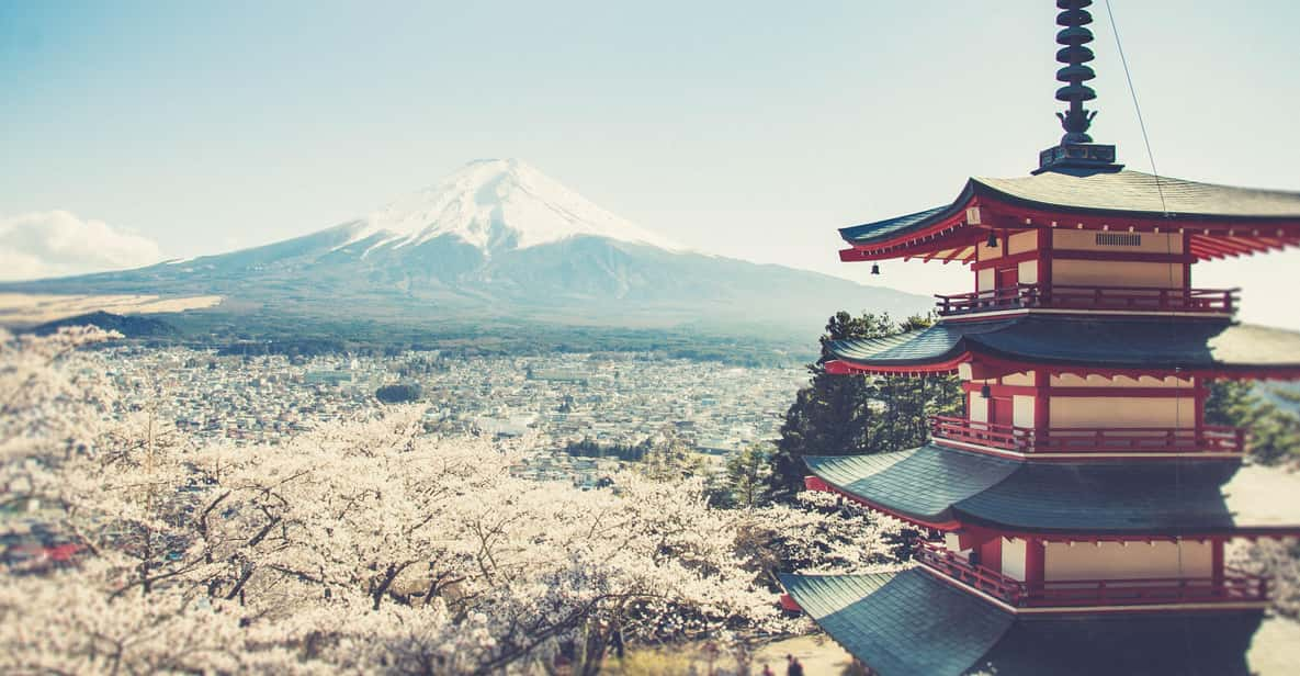 From Tokyo: Mt. Fuji Highlights Customizable Private Tour - Suitability and Restrictions