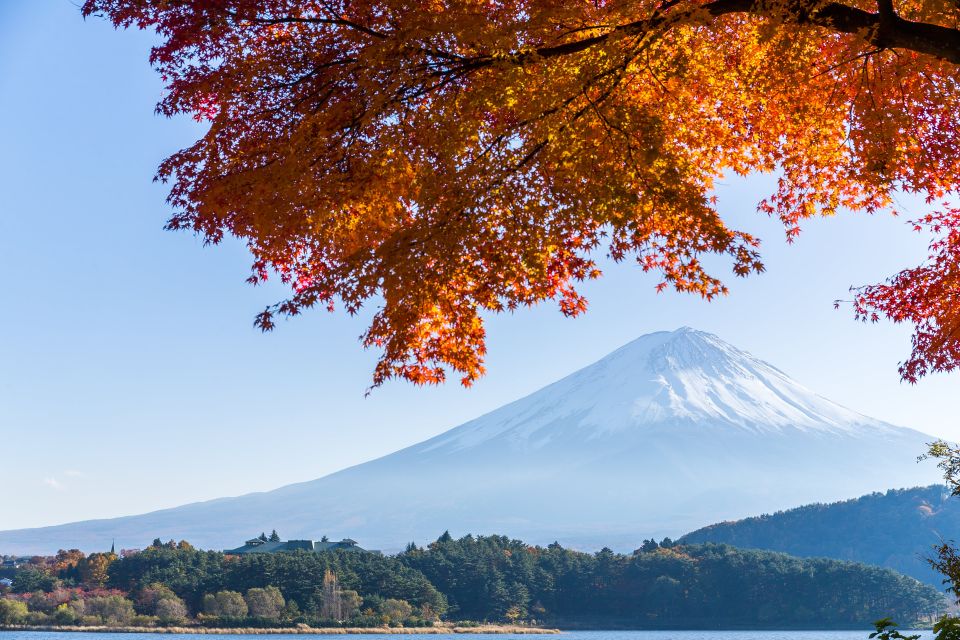 From Tokyo: Mt. Fuji or Hakone Private Sightseeing Day Trip - Transportation and Pickup