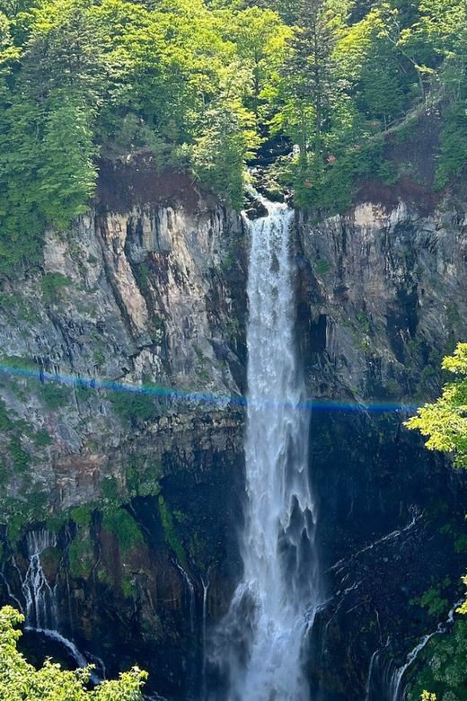 From Tokyo: Private Nikko World Heritage Sights Day Trip - Flexible Pickup and Drop-off