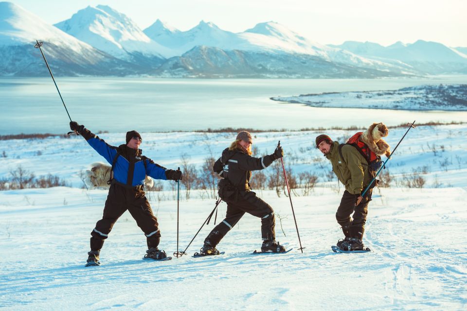 From Tromsø: Guided Husky Snowshoe Hike and Husky Camp Visit - Transport, Gear, and Refreshments Included