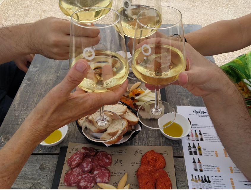 From Valencia: Requena Wine Tour With Tastings - Guided Tour by Licensed Guide