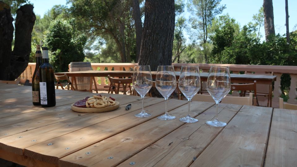 From Valencia: Utiel-Requena Wine Tour and Traditional Lunch - Enjoying a Traditional Spanish Lunch