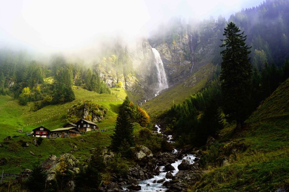 From Zurich: Swiss Natural Wonders Private Tour With Lunch - Private Environmental Expert Guide