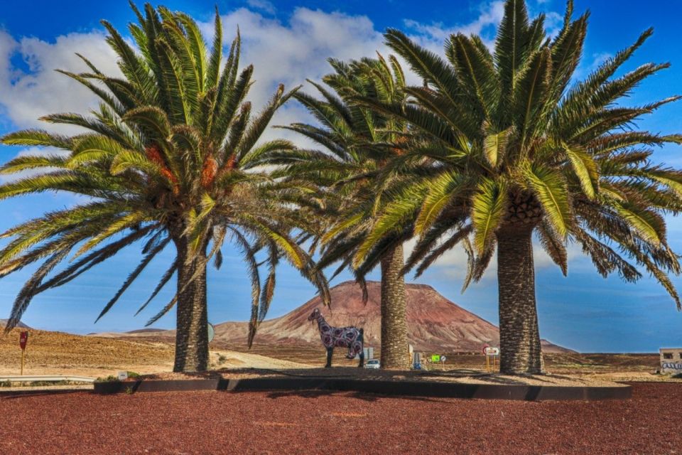 Fuerteventura: Island Flavors Full-Day Tour - Best Times to Visit