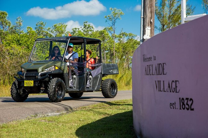 Full Day Buggy Rental in Nassau - Participation Requirements