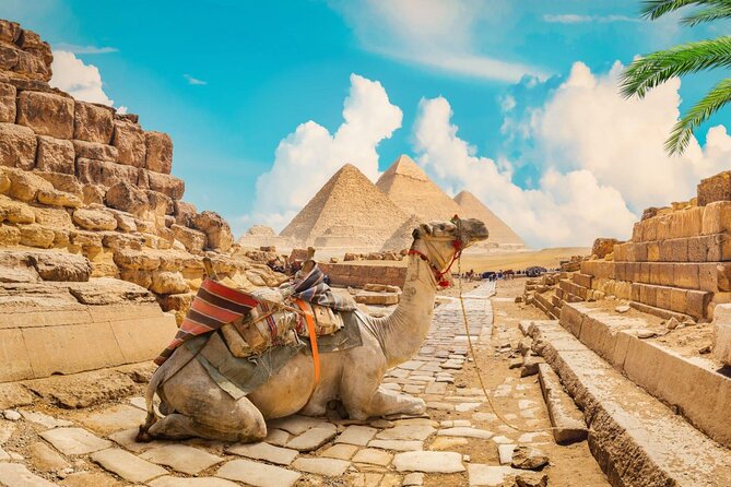 Full Day Cairo Guided Tour Pyramids and Museum, Lunch - Hurghada - Additional Information