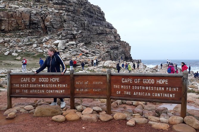 Full Day Cape Peninsula Tour in Private Car - Chapmans Peak Drive