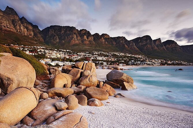 Full Day Cape Peninsula Tour - Optional Extras