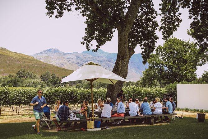 Full-Day Franschhoek Hop on Hop off Wine Tram Tour From Cape Town - Wine Tasting Age