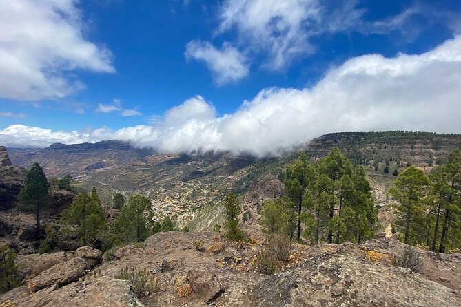 Full-Day Gran Canaria Tour With Teror, Tejeda and Lunch in Fataga - Cancellation Policy