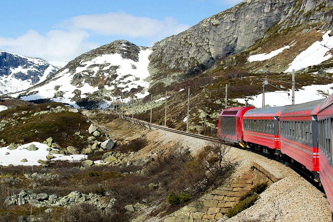 Full Day Guided Roundtrip From Bergen To Sognefjord With Flam Railway - What to Expect