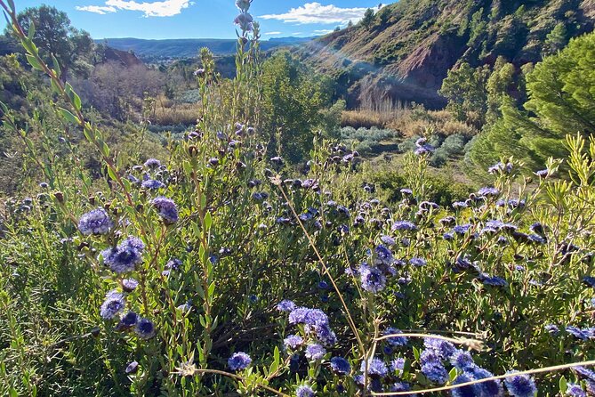 Full-Day Hiking at Ruta the Aqua Across Pena Cortada - Group Size and Fitness Level