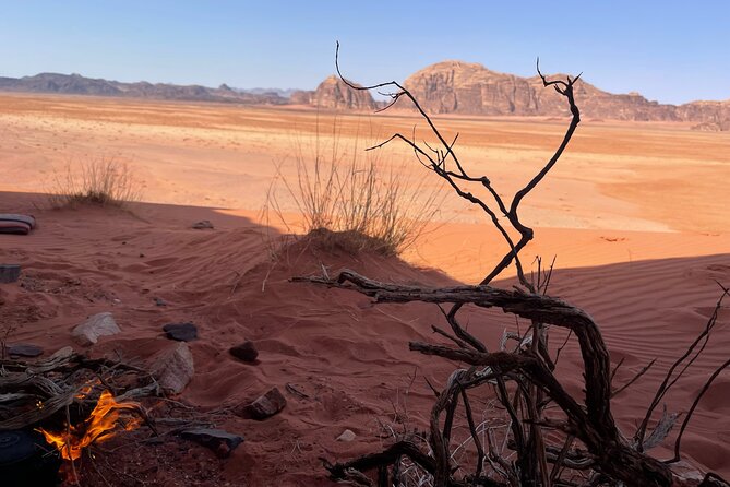 Full-Day Hiking in Wadi Rums Desert With Lunch - Highlights of the Experience