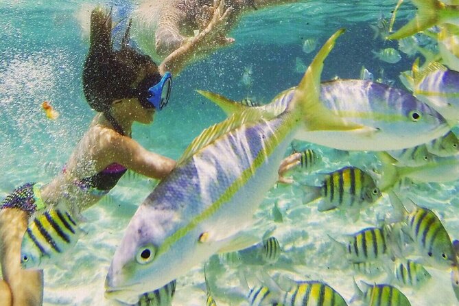 Full Day Isla Bonita Speed Tours - Snorkeling Excursion