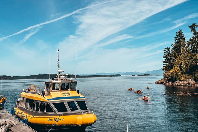 Full Day Kayaking Adventure on Vancouver Island - Preparing for the Kayaking Experience