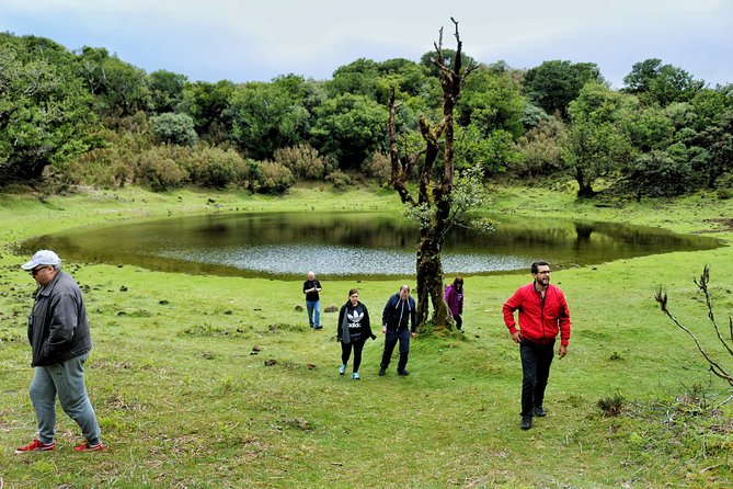 Full Day Private 4x4 Tour in West Madeira With Local Guide - Traveler Feedback and Ratings