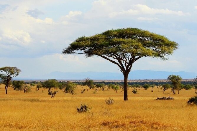 Full-Day Private Tour of Tsavo East National Park From Mombasa - Explore Tsavo East