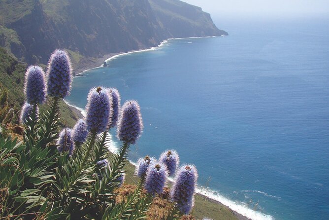 Full Day Tour of the West Zone of Madeira - Reviews and Ratings