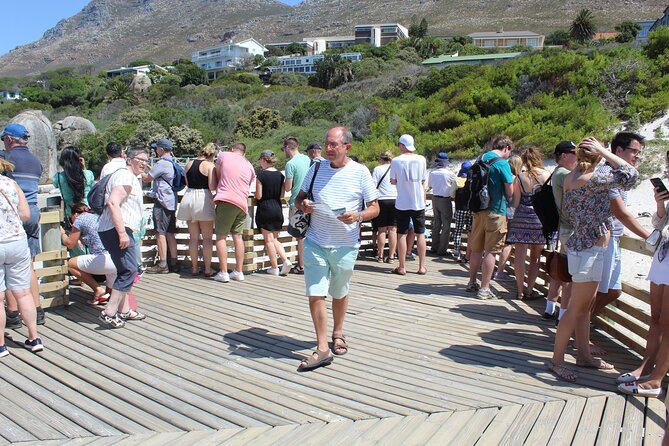 Full-Day Tour to Cape Point and Cape of Good Hope - Highlights of the Tour