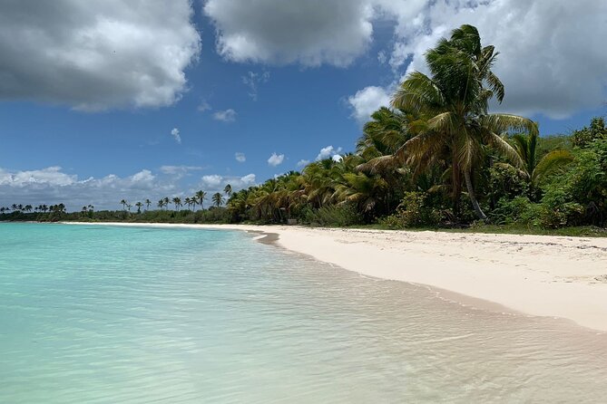 Full Day Tour to Isla Saona and Altos De Chavon - Recommended Improvements