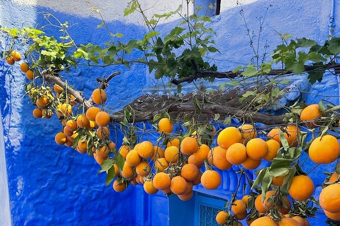 Full-Day Tour to the Blue City Chefchaouen on Small-Group - Pricing and Cancellation Policy