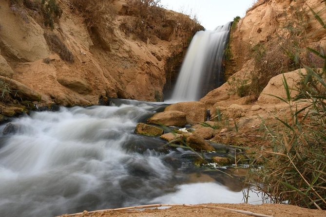 Full Day Trip to El-Fayoum Oasis & Wadi El-Hitan From Cairo - Inclusions and Pricing