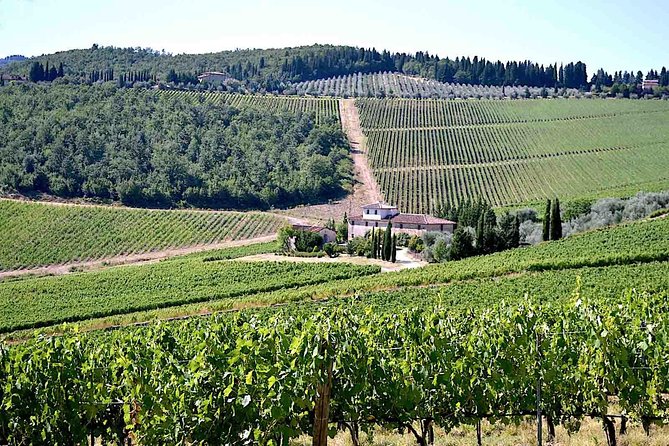 Full-Day Tuscany Castles Tour With Wine Tasting From Florence - Dietary Accommodations