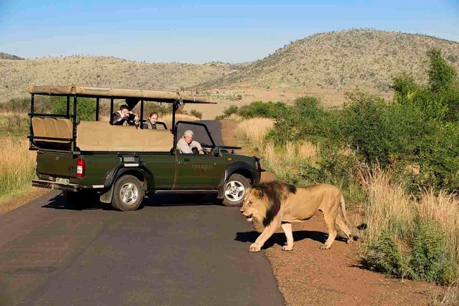 Full Day Ultimate Pilanesberg National Park Safari From Johannesburg or Pretoria - Excluded From the Tour