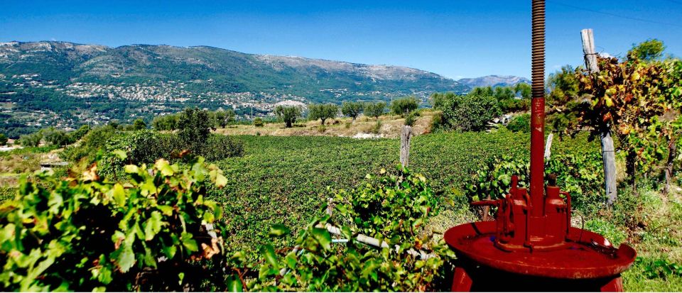 Full-Day Wine Tour in Bellet & Saint-Paul De Vence From Nice - Exploring Saint-Paul De Vence