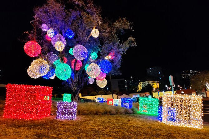 Funchal Christmas Lights Sightseeing Night Tour - Accessibility and Participation