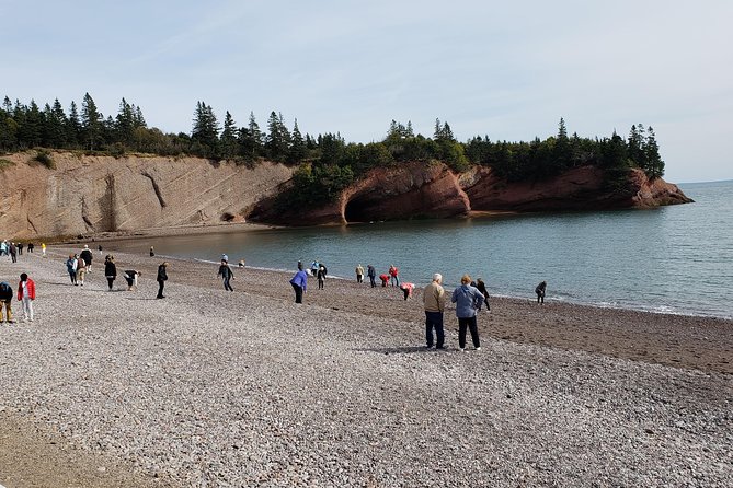 Fundy Coast to Fundy Shore Tour - Tour Schedule and Availability