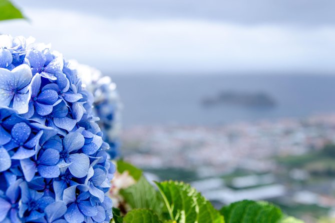 Furnas Hot Springs Full-day Tour - Traditional Azorean Stew Tasting