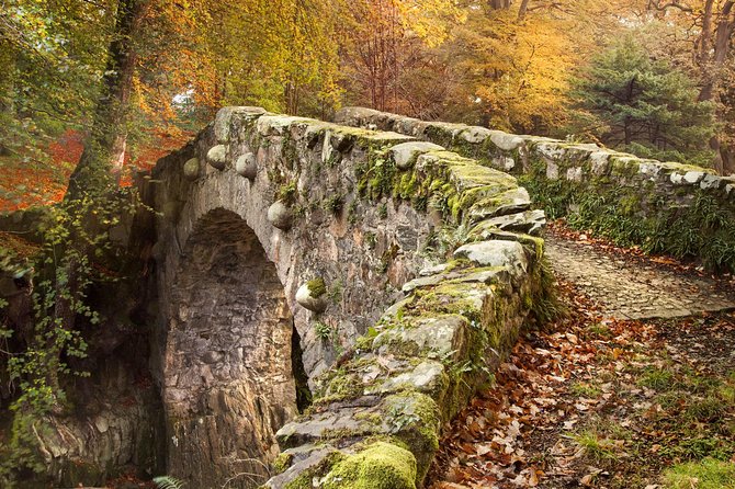 Game of Thrones - Tollymore Forest Trek - Guided Trek Experience