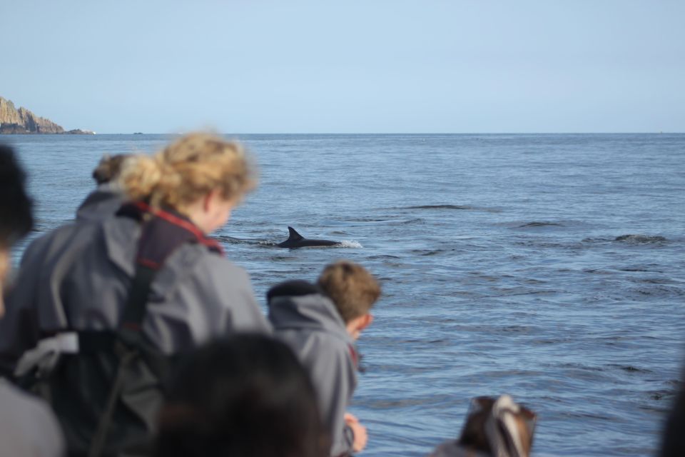 Godrevy to Hells Mouth Boat Trip - Meeting Point and Directions