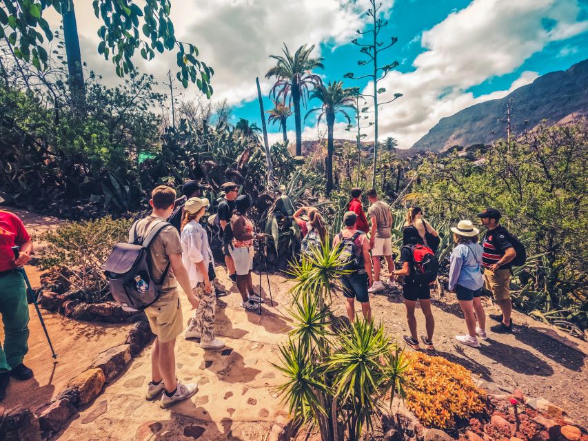 Gran Canaria: the Red Canyon Tour With Local Food Tasting - Customer Reviews and Feedback