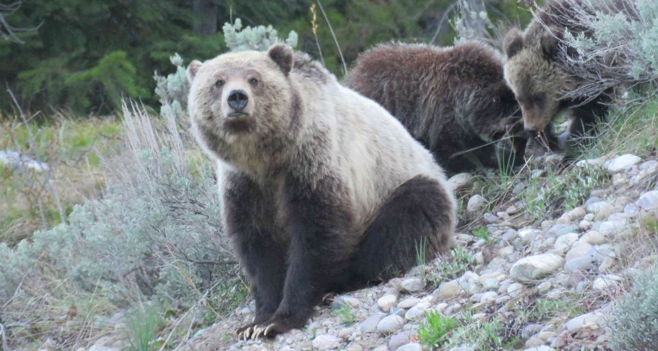 Grand Teton National Park: Full-Day Tour With Boat Ride - Hiking to Hidden Falls