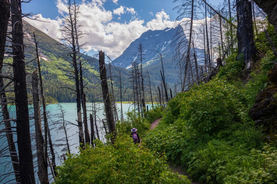 Grand Teton, Yellowstone, Glacier NP: Self-Guided Audio Tour - Important Information and Preparation