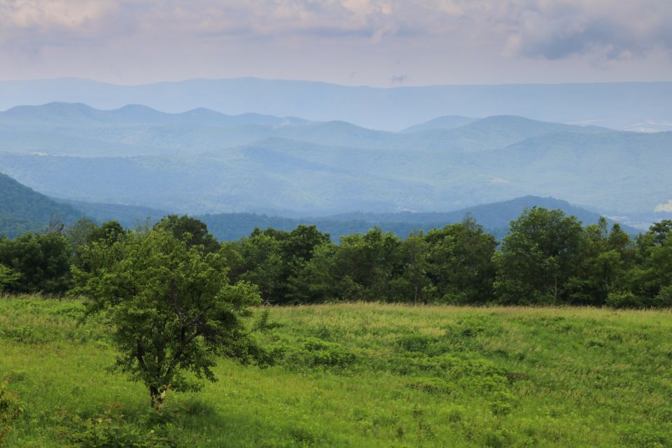 Great Smoky & Shenandoah National Park Driving Audio Tour - Natural Beauty and History