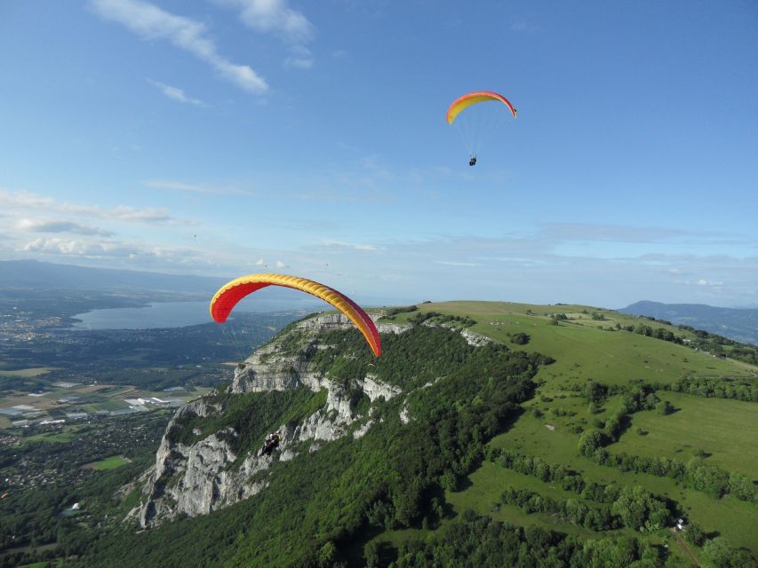 Grenoble: Paragliding Sensation Experience - Local Wildlife Sightings