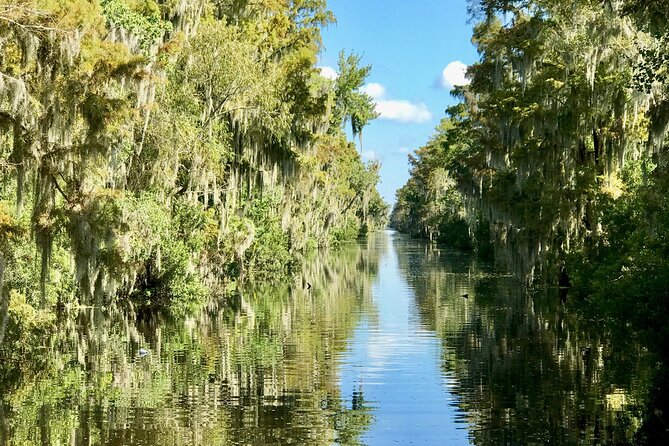 Guided Boat Tour of New Orleans Bayou and Wildlife - Tour Flexibility and Policies