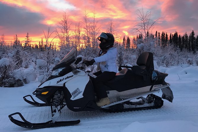 Guided Fairbanks Snowmobile Tour - Exploring Alaskas Wilderness