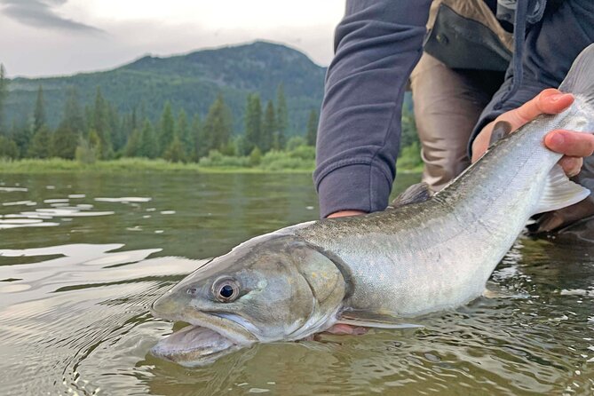 Guided Fishing Adventure in Whistler - Physical Fitness and Health Considerations