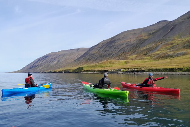 Guided Kayak Tour in Siglufjörður / Siglufjordur. - Ratings and Reviews