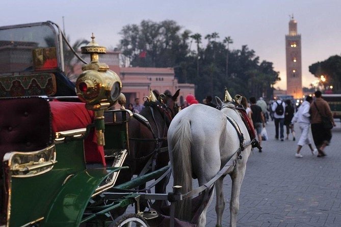 Guided Shared Day Trip Agadir to Marrakech Medina & Souks - Communication and Service Issues