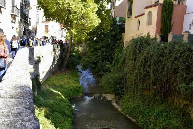 Guided Tour of Albaicín, Sacromonte and Viewpoints - About the Guide